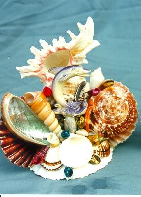 SUVENIR OD ŠKOLJKI  CM 19 