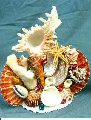 SUVENIR OD ŠKOLJKI  CM 19 