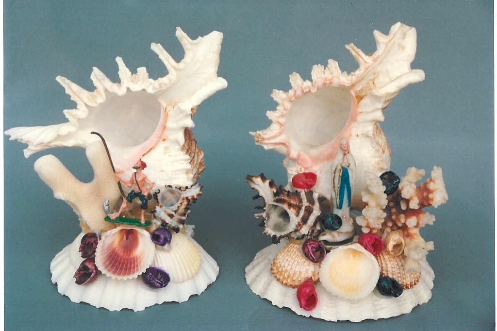 SUVENIR OD ŠKOLJKI  CM 16 