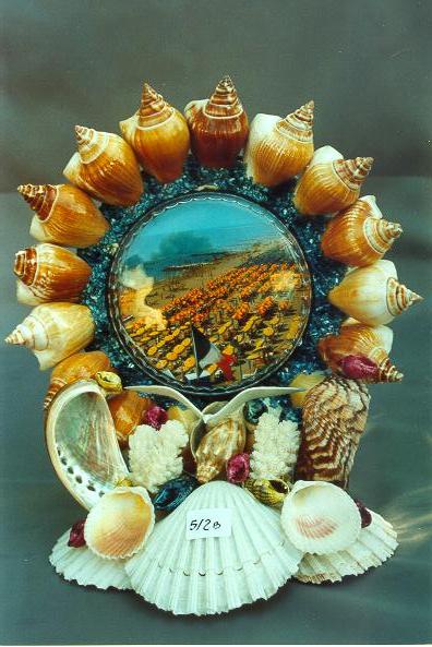 SUVENIR OD ŠKOLJKI  CM 22*20 