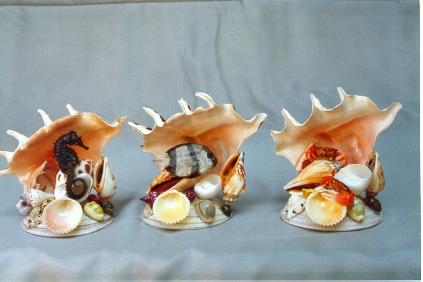 SUVENIR OD ŠKOLJKI  H. 11 