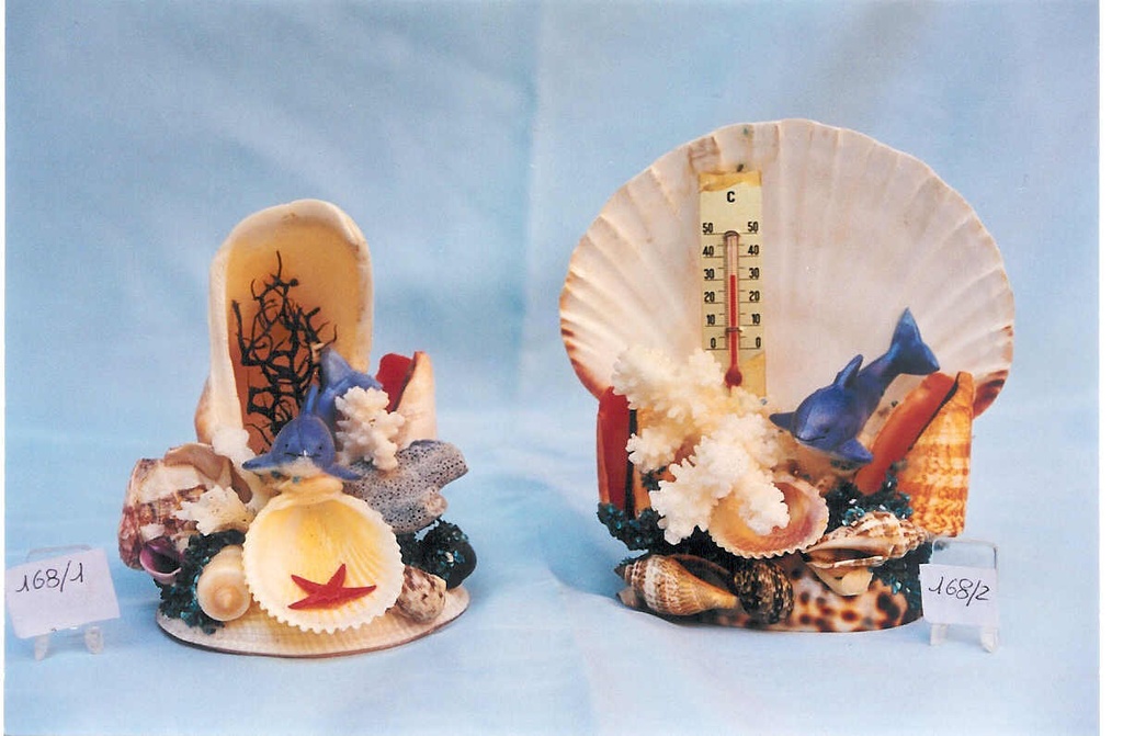 SUVENIR OD ŠKOLJKI  CM 13 