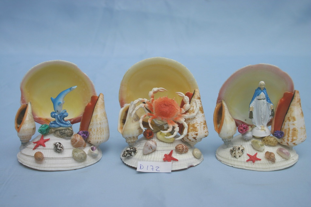 SUVENIR OD ŠKOLJKI  CM 9 