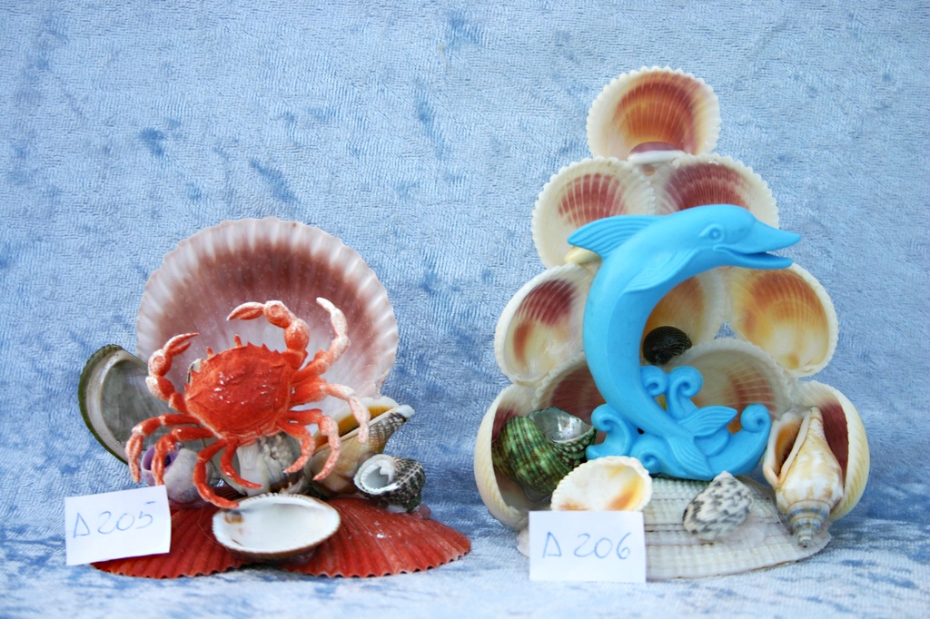 SUVENIR OD ŠKOLJKI  CM 12 