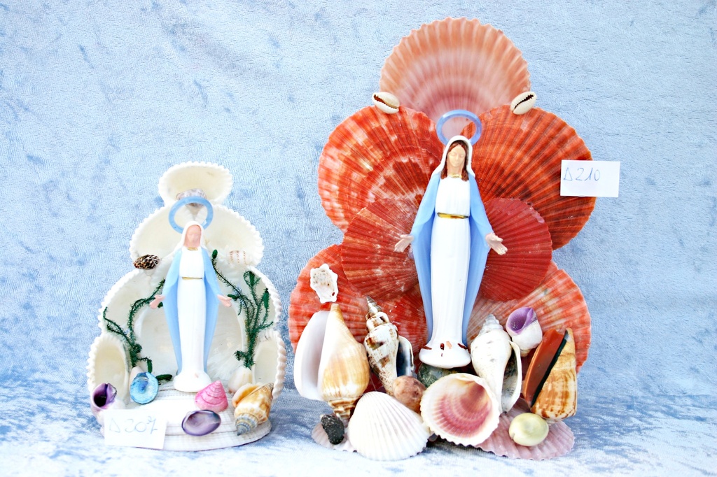 SUVENIR OD ŠKOLJKI  CM 12 