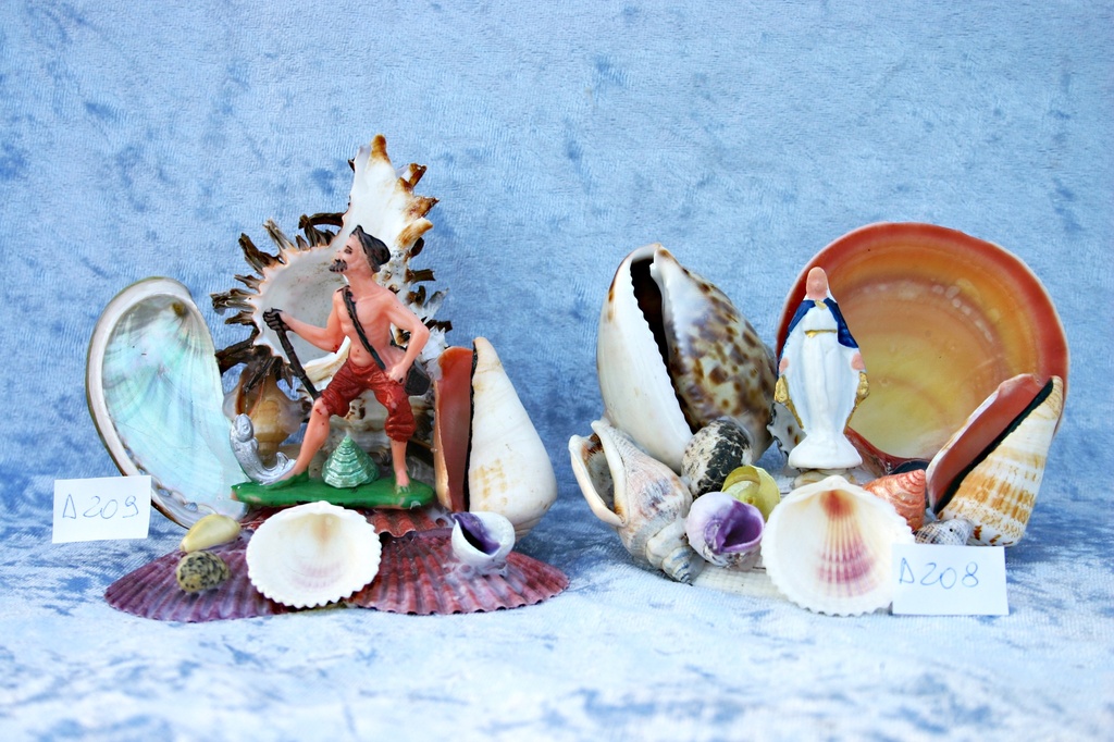 SUVENIR OD ŠKOLJKI  CM 12*13 