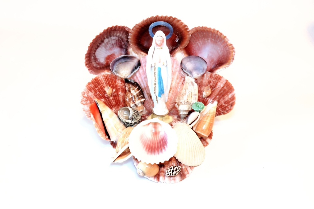 MISTI NIDO C/9 PECTEN CM 12*16 