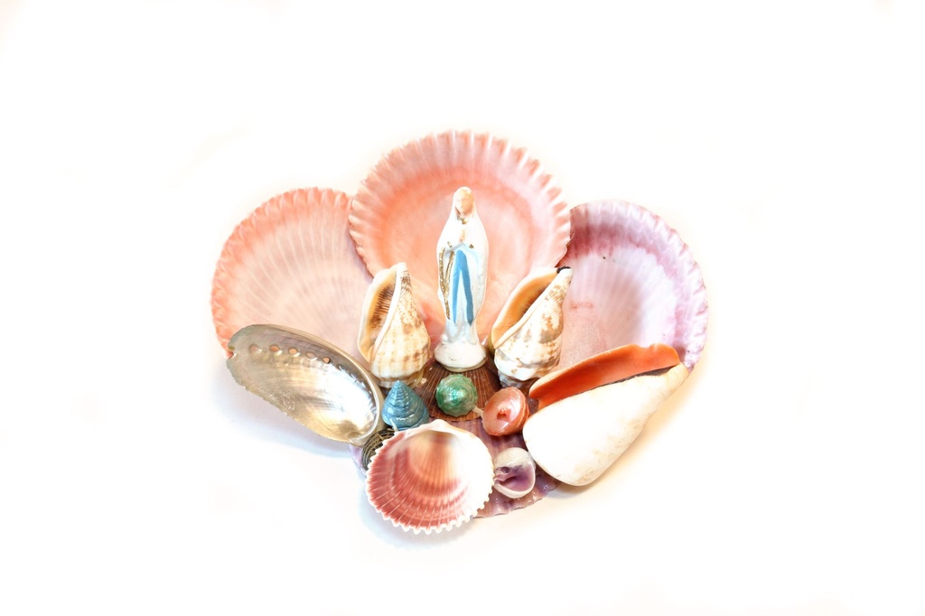 SUVENIR OD ŠKOLJKI  CM 9*18 