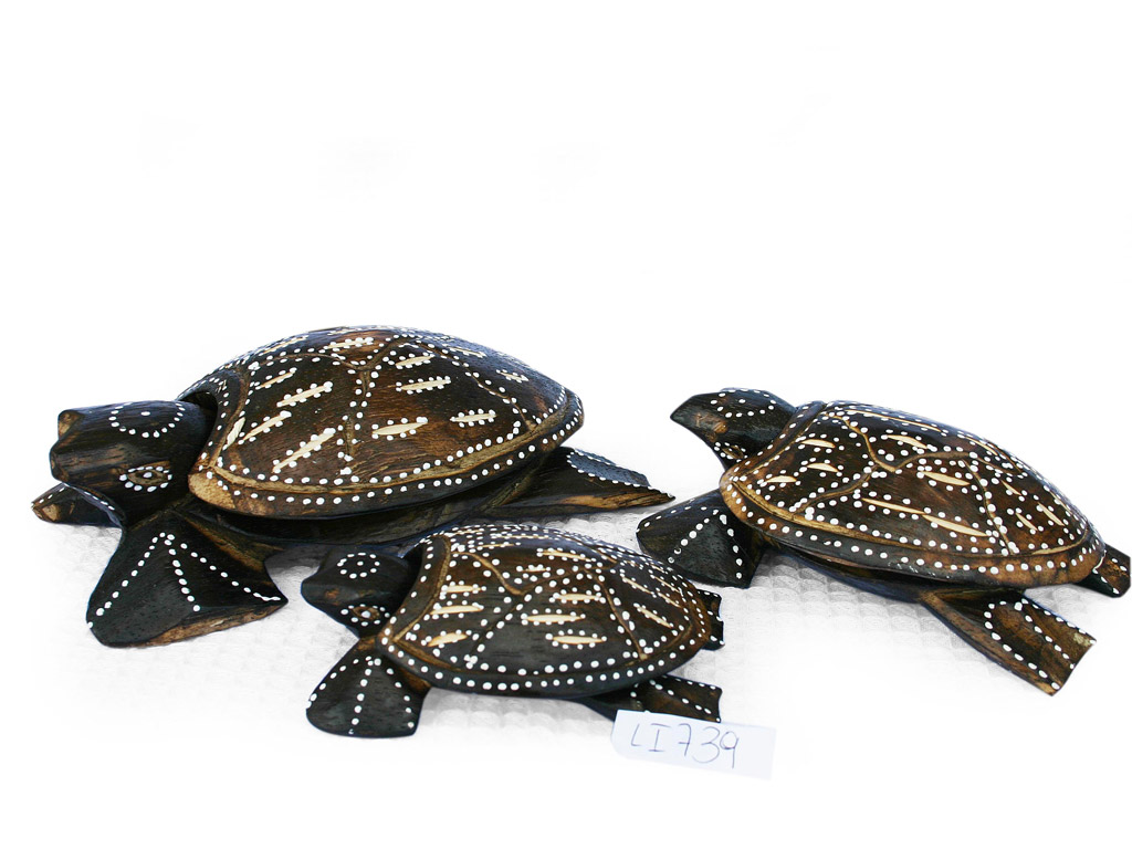 SET 3 DRVENE KORNJAČE