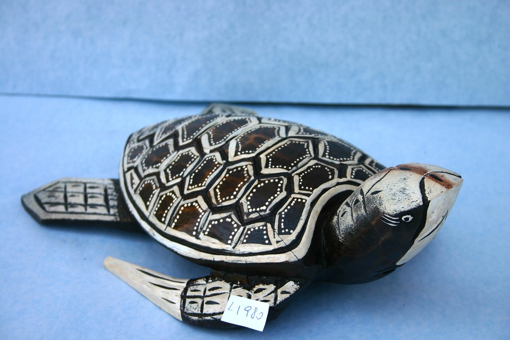 DRVENA KORNJAČA CM 20  