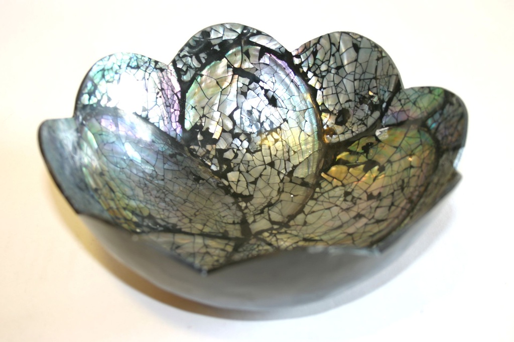 ZDJELICA OD ŠKOLJKE DIAM CM 15.5*6 