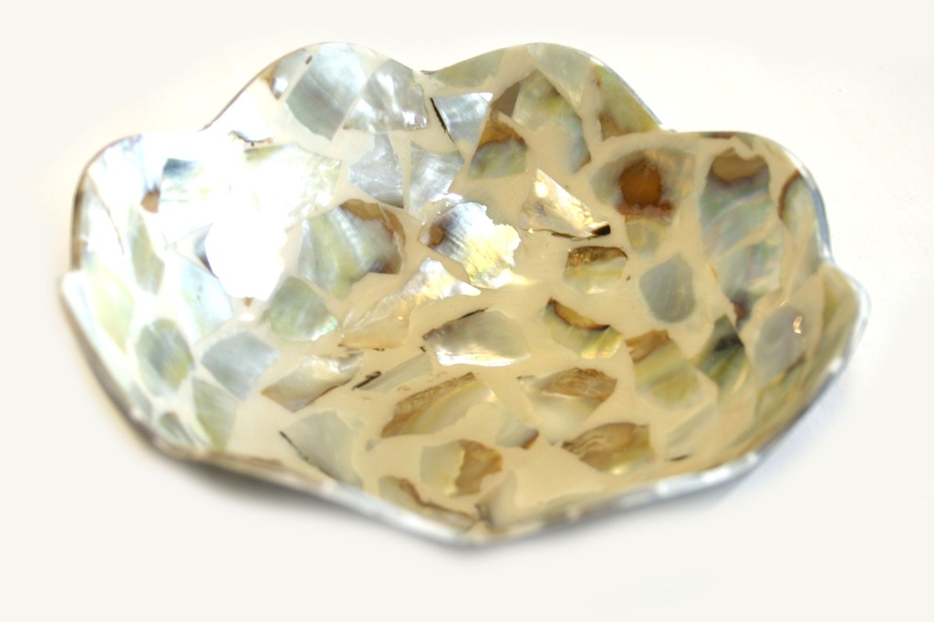 ZDJELICA OD ŠKOLJKE DIAM CM 15.5*6 