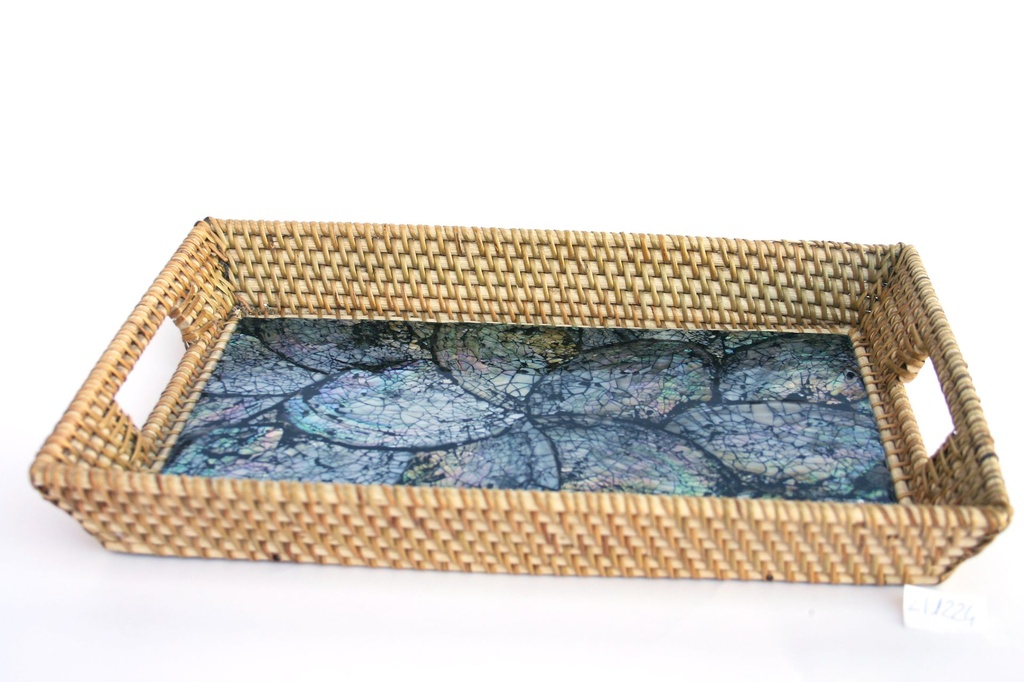 PLADANJ OD ŠKOLJKE CM 31*23*5 