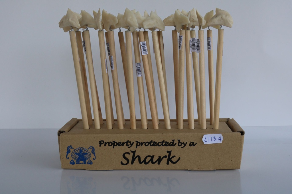 DRVENE OLOVKE U KUTIJI 24 KOM