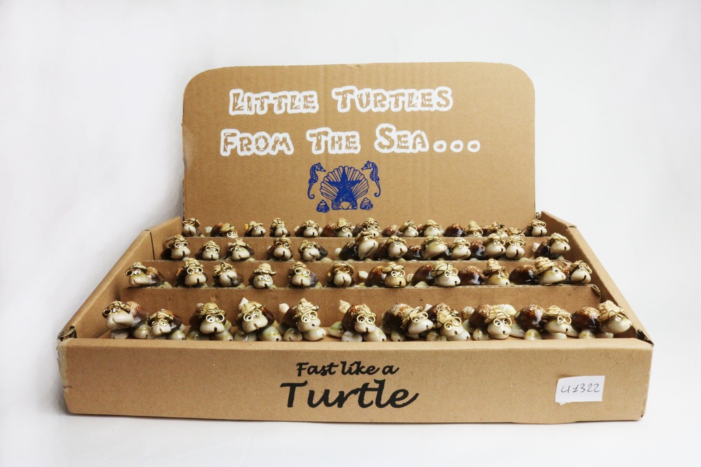 KORNJAČE OD ŠKOLJKI U KUTIJI 36 KOM