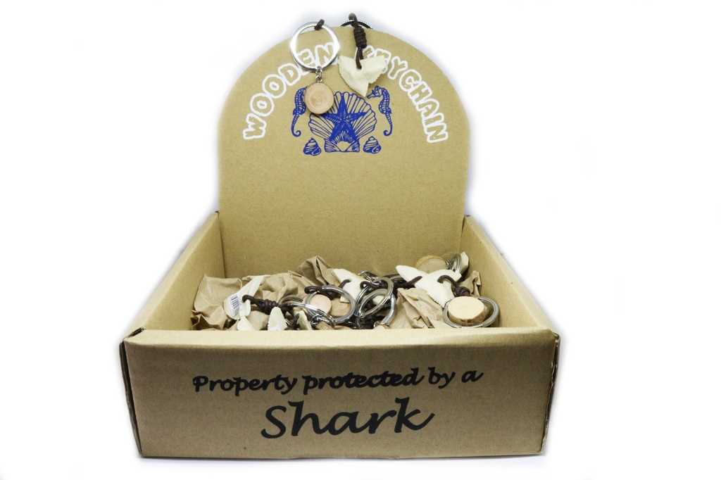 PRIVJESAK ZA KLJUČEVE  ZUB MORSKOG PSA U KUTIJI 24 KOM