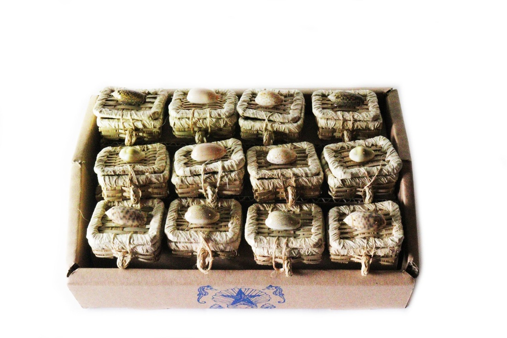 KOŠARICE SA ŠKOLJKAMA U KUTIJI 12 KOM