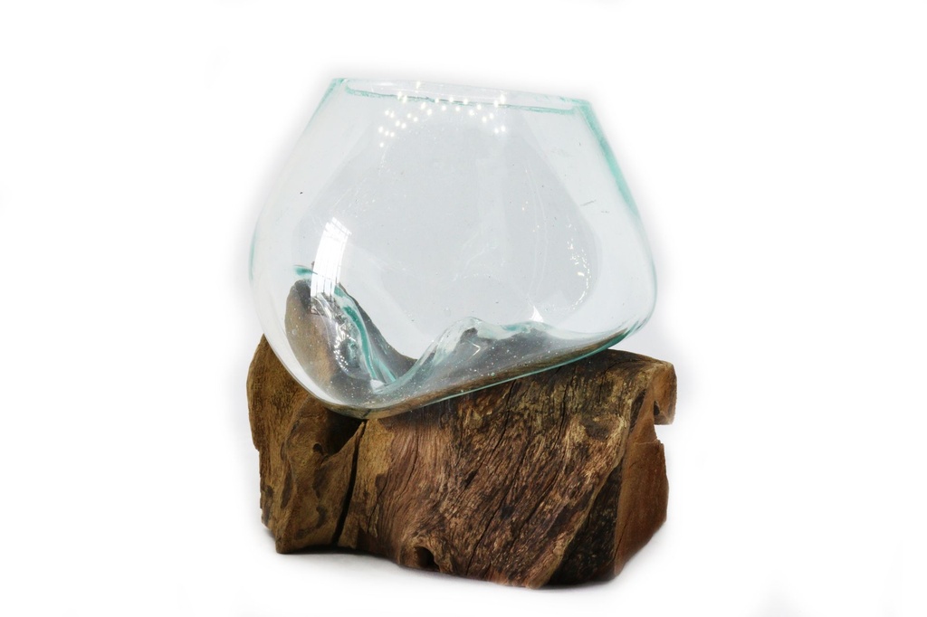 STAKLENA POSUDA NA DRVU