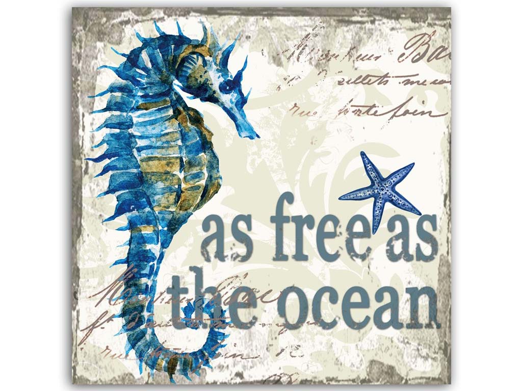 QUADRO SU TELA CAVALLUCCIO 25*25 CM 