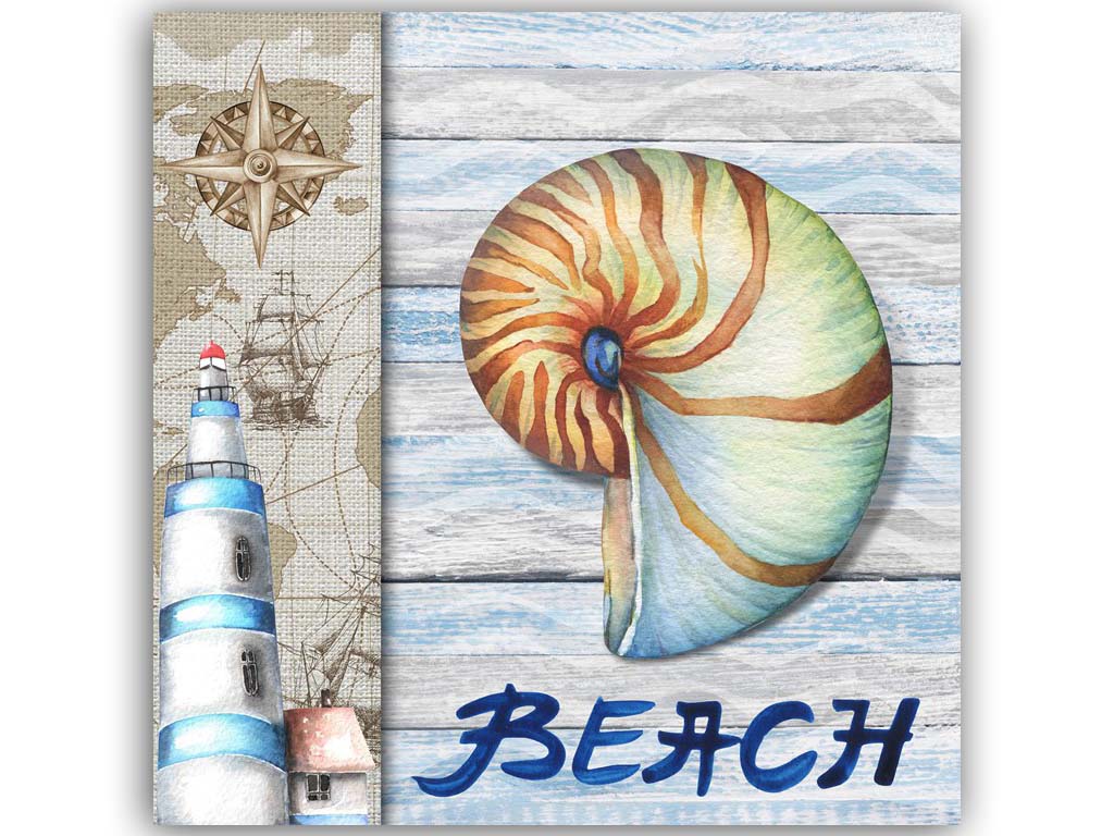 QUADRO SU TELA NAUTILUS 25*25 CM 