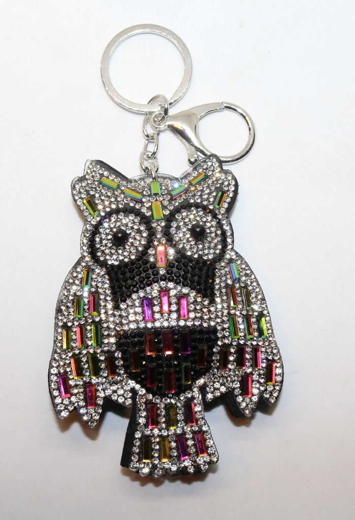 PRIVJESAK ZA KLJUČEVE