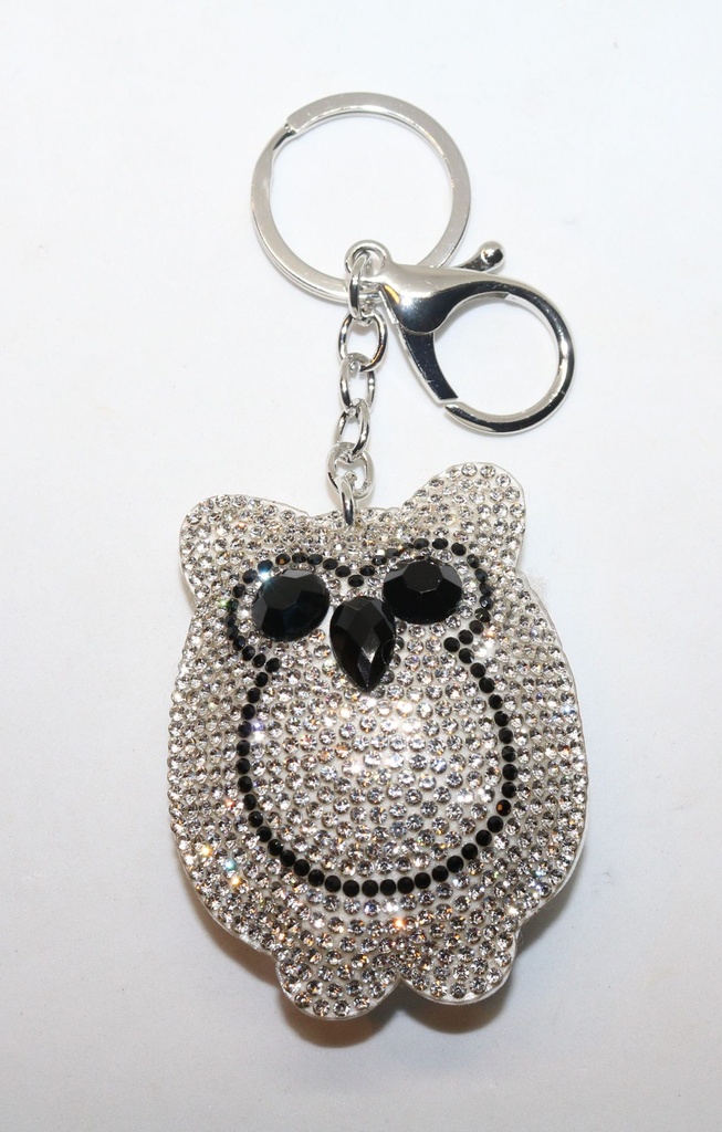 PRIVJESAK ZA KLJUČEVE