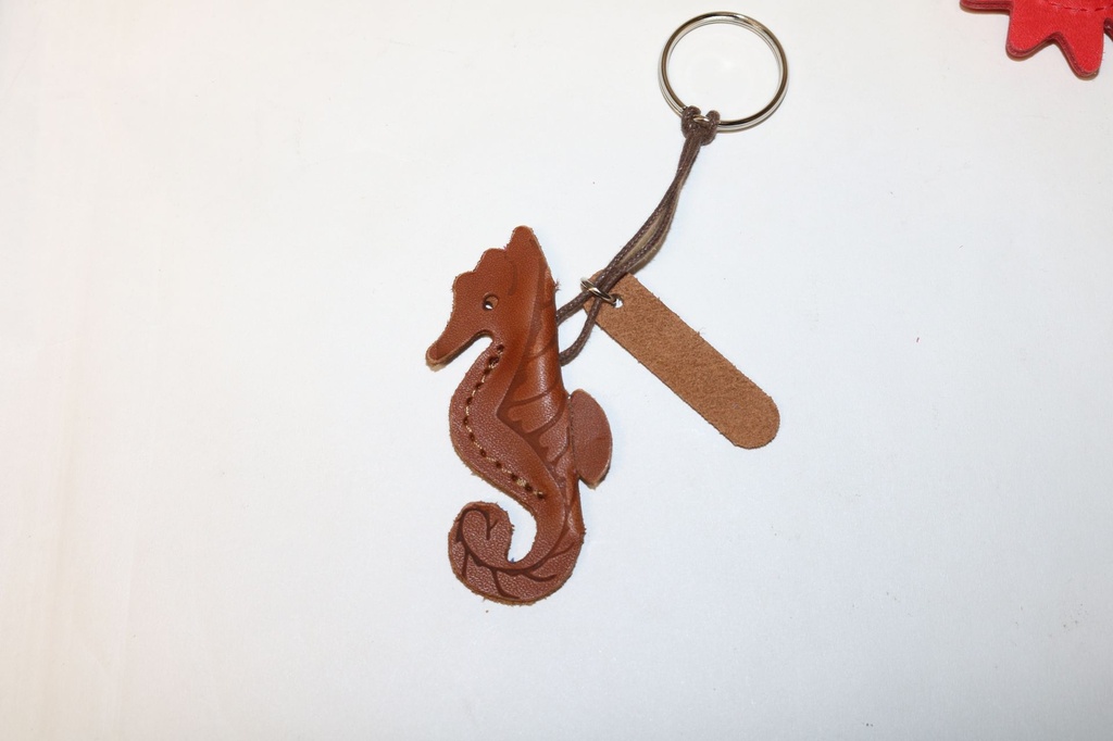 PRIVJESAK ZA KLJUČEVE