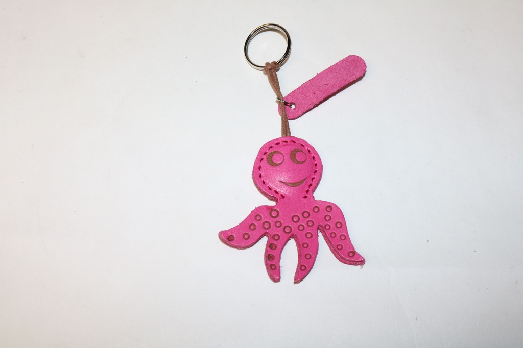 PRIVJESAK ZA KLJUČEVE