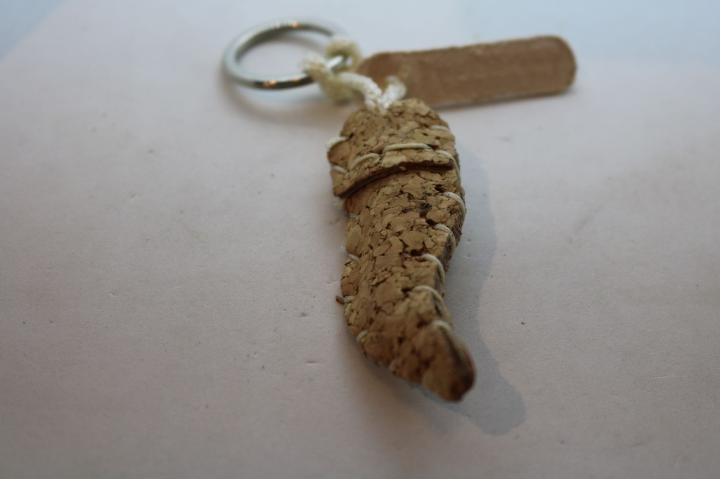 PRIVJESAK ZA KLJUČEVE