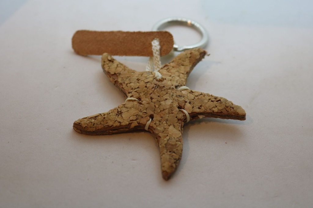 PRIVJESAK ZA KLJUČEVE