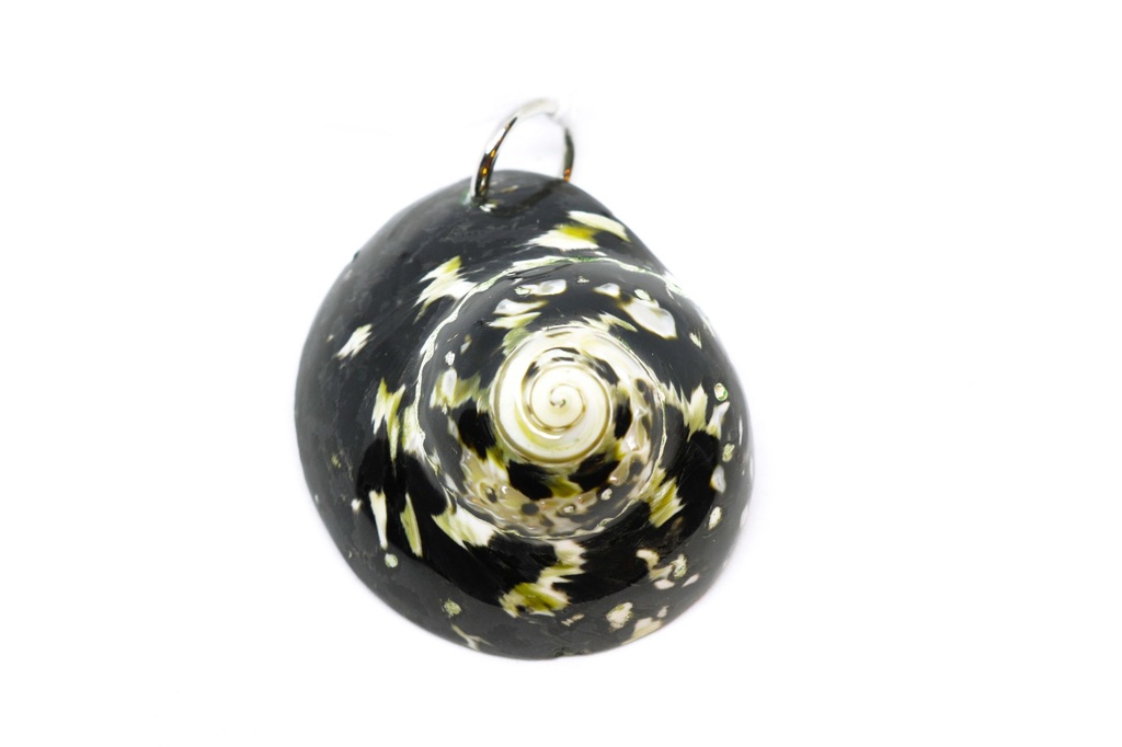 PRIVJESAK ZA OGRLICU ŠKOLJKA