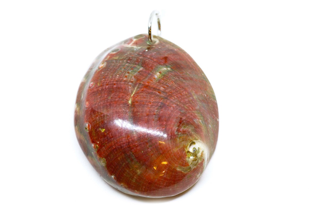 PENDENTI   CONCHIGLIA 