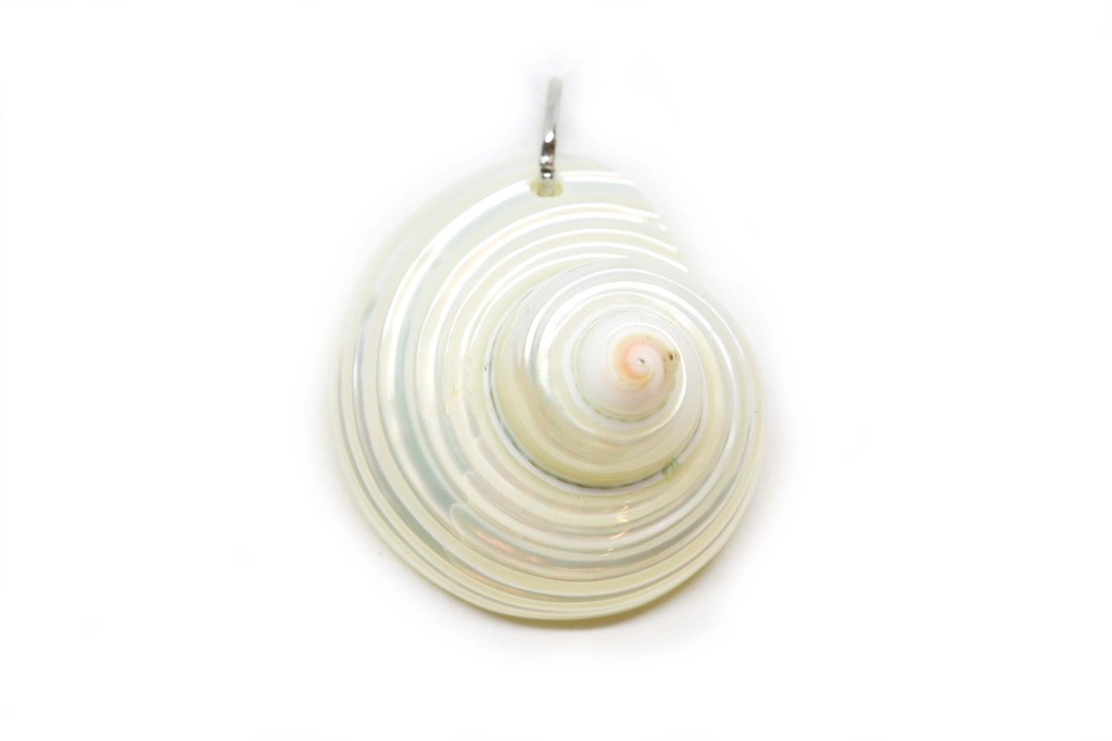 PENDENTI   CONCHIGLIA 