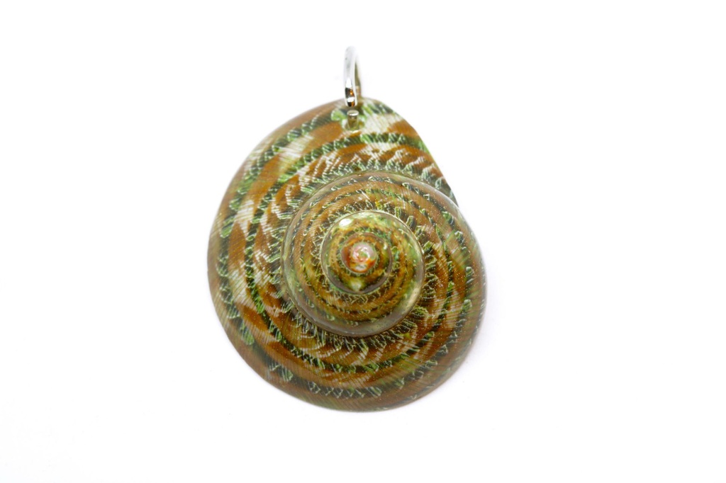 PRIVJESAK ZA OGRLICU ŠKOLJKA