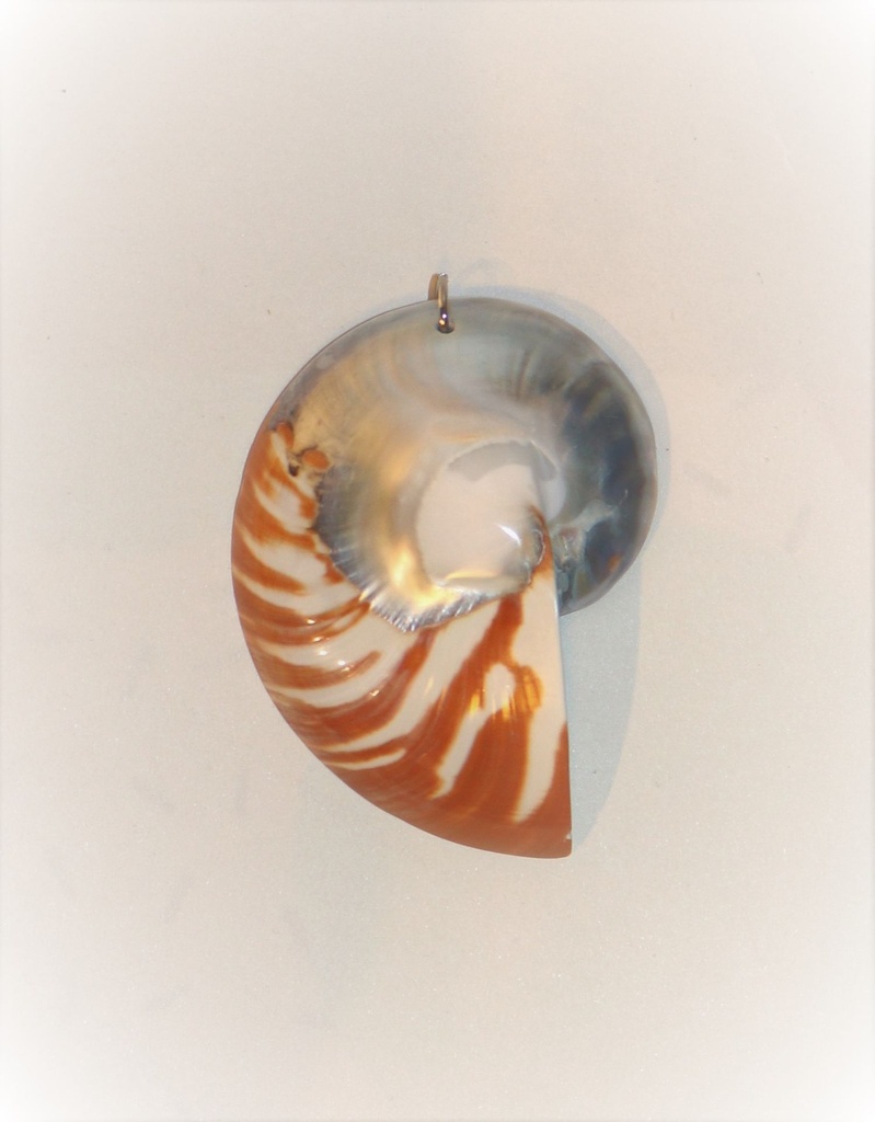 PRIVJESAK ZA OGRLICU ŠKOLJKA