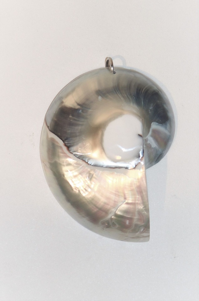 PRIVJESAK ZA OGRLICU ŠKOLJKA