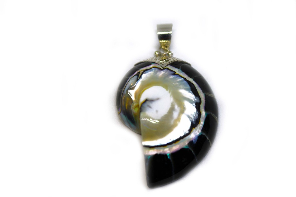 PRIVJESAK ZA OGRLICU