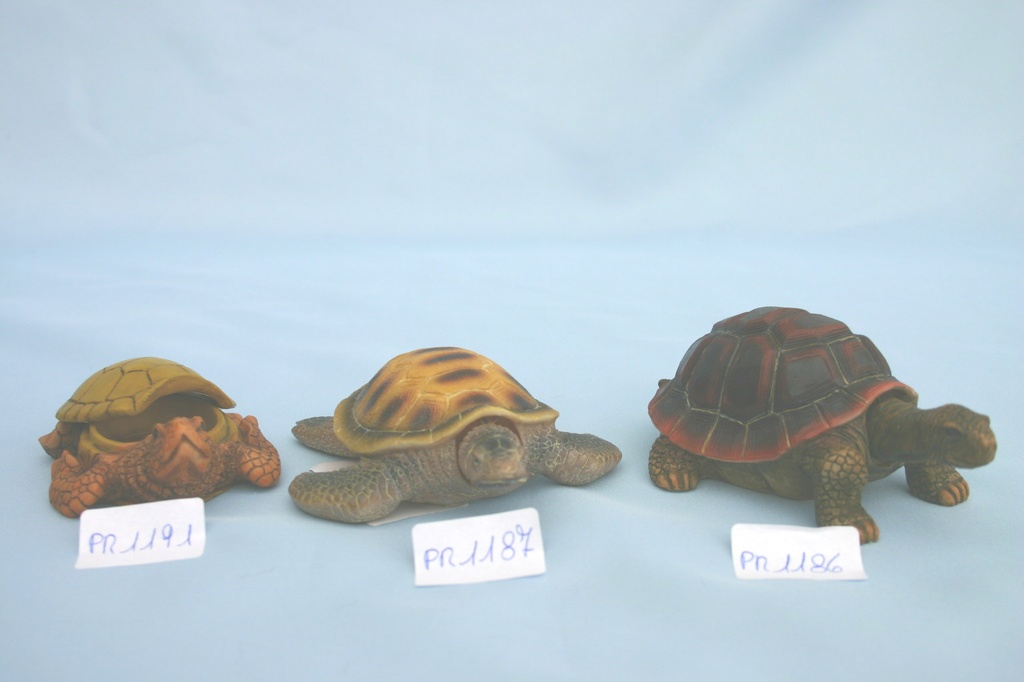 KORNJAČA OD SMOLE KUTIJICA