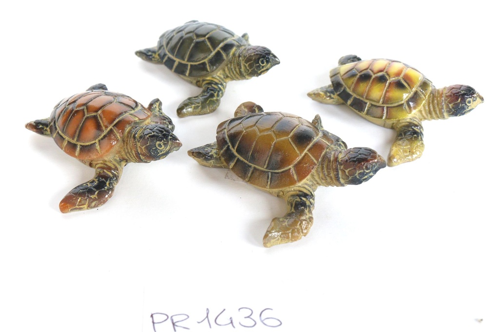 TARTARUGHE RESINA 