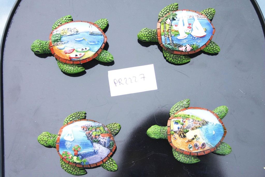 MAGNETE RESINA TARTARUGA C/VEDUTA 4 MOD. ASS.TI 