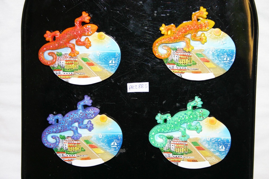 MAGNETE RESINA GEKO C/VED. RIV. ADRIATICA 