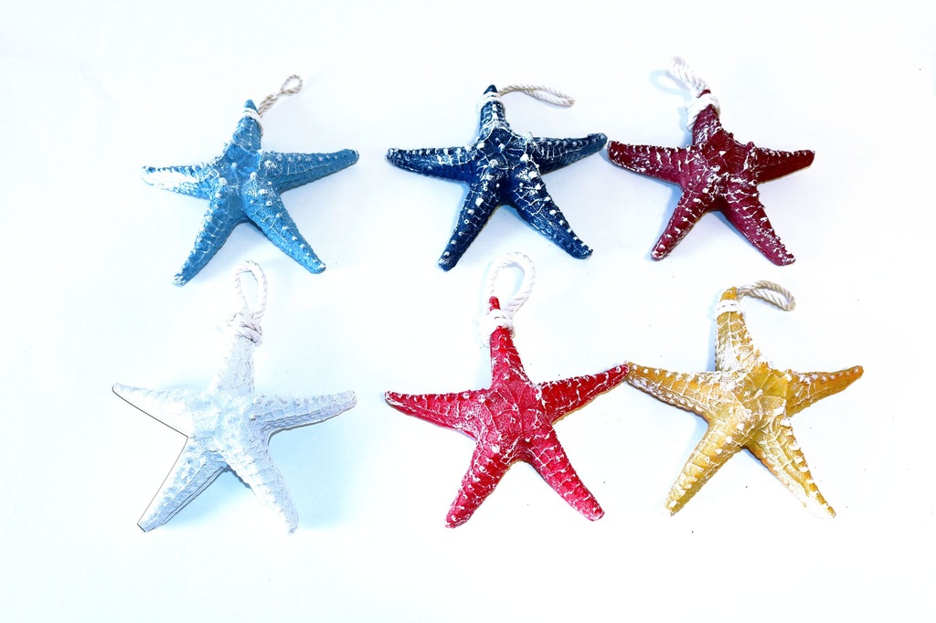 MORSKA ZVIJEZDA OD SMOLE 13 CM 