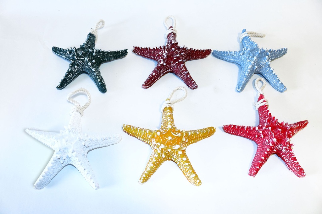 MORSKA ZVIJEZDA OD SMOLE 16 CM 