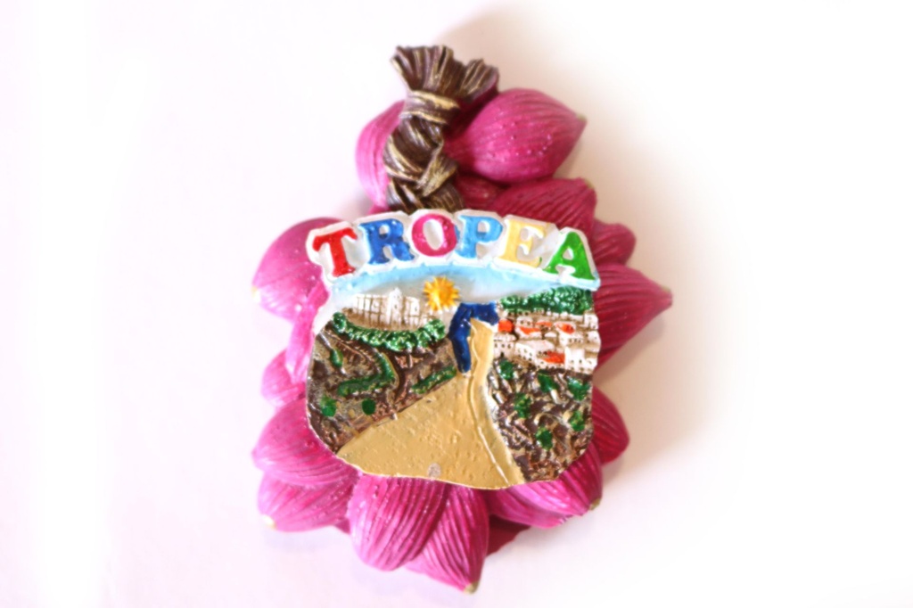 MAGNETE RESINA TRECCIA CIPOLLE CON VEDUTA 