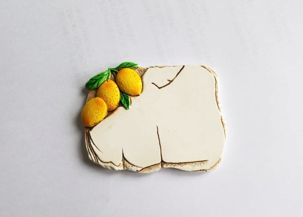 PERSONALIZIRANI MAGNET OD SMOLE