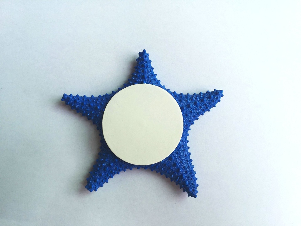 PERSONALIZIRANI MAGNET OD SMOLE