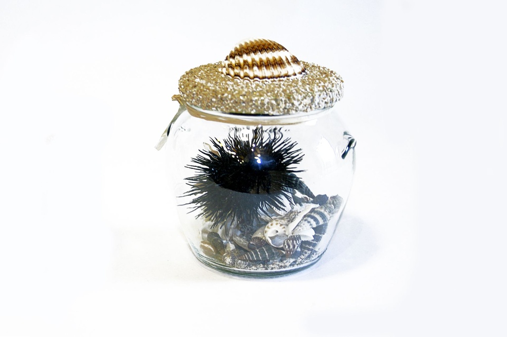 STAKLENKA S MORSKIM JEŽOM