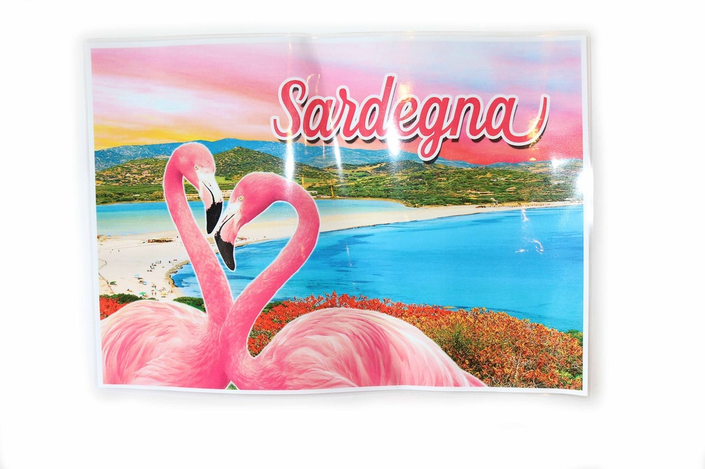 PERSONALIZIRANI PLASTIČNI PODMETAČ