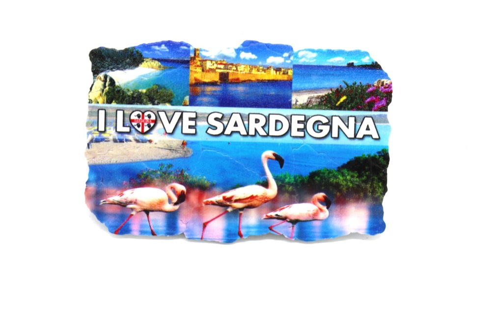 PERSONALIZIRANI PLASTIČNI MAGNET