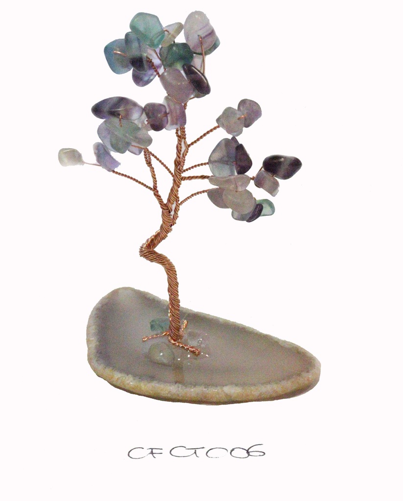 ALBERELLO BASE FATTA A CASA C/CHIPS PIETRE 